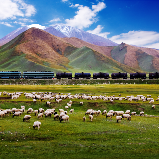 xinjiang - chine